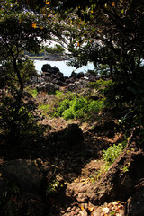 Jeju Olle Trail Route 7 : Beautiful Scenery of Jeju Island, Korea