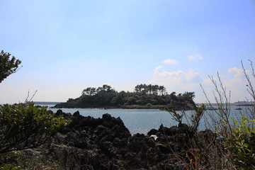 Jeju Olle Trail Route 7 : Beautiful Scenery of Jeju Island, Korea