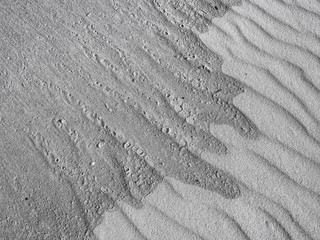 Fototapeta na wymiar Wave wet and dry sand converge on an empty beach on New Jersey's Island Beach State Park