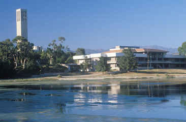 University CA at Santa Barbara, CA