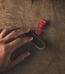 fingerboard