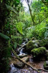 River in the mountains