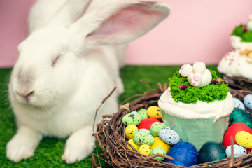 A cute white big rabbit is sitting on the green grass next to an Easter cake. The concept of a light Easter holiday