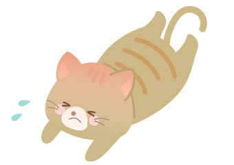 熱　熱中症　ネコのイラスト