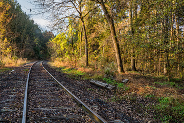 Fototapeta na wymiar Autumn landscape of brightly colored woods with railroad tracks cutting through