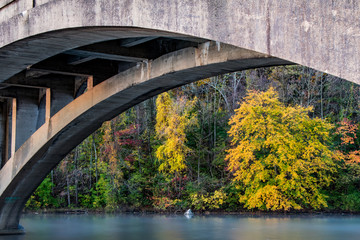 Architectural shot of a span of an abandoned bridge over Lake Ontelaunee