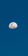 Naklejka na ściany i meble full moon over blue sky