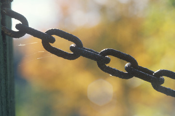 Chain on a gate, Catskills, NY