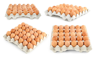 Set of raw chicken eggs on white background