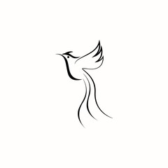 bird fly logo