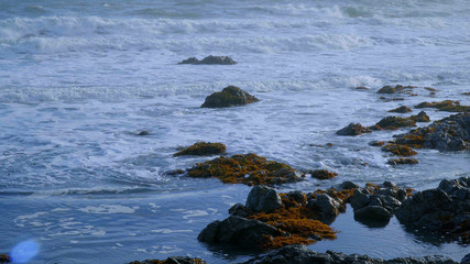 The wild and rocky coast of Shelter Cove