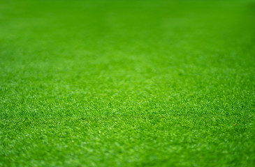 Artificial grass green background, Artificial grass background texture.