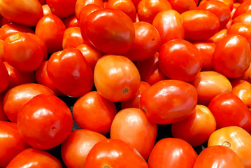 A pile of fresh red tomatoes