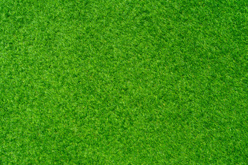 Plakat Beautiful Artificial grass