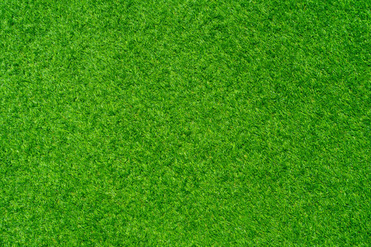 Beautiful Artificial grass