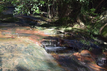 natura australiana 