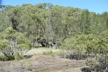 natura australiana 