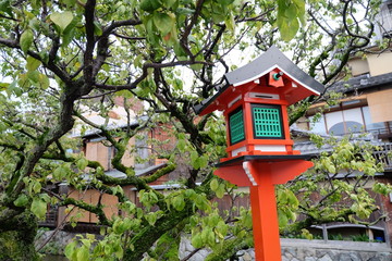 red lantern in the park at Gion, Kyoto