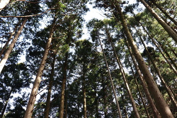竜ヶ岳　日本　景色　登山