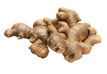Fresh ginger root islolated white backdrop with clipping path. for herb and medical product concept