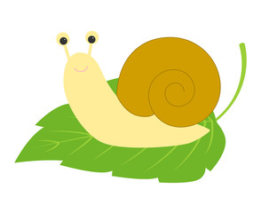 葉っぱに乗ったかたつむり