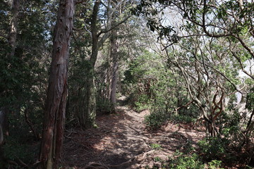 Obraz premium 竜ヶ岳 日本 景色 登山