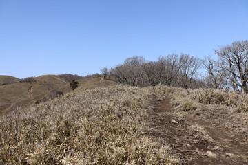 竜ヶ岳　日本　景色　山