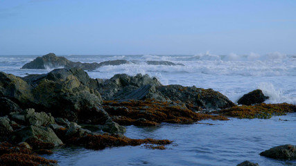 The wild and rocky coast of Shelter Cove