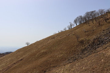 竜ヶ岳　日本　景色　山