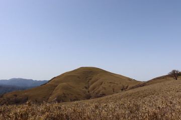 竜ヶ岳　日本　景色　山