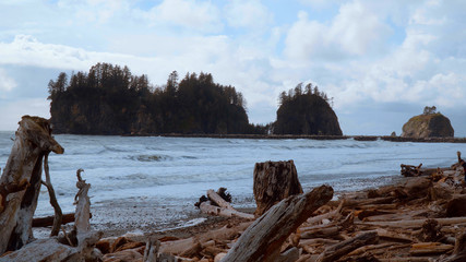 Wild La Push Beach with famous forested trail