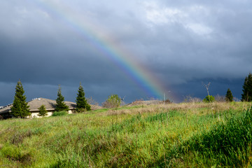 Beautiful Rainbow