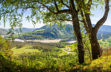 Tourism in Altai, Russia. View of the valley and the river from the mountain.