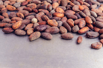 Roasted cocoa beans