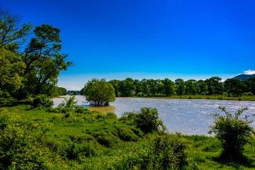 Fototapeta premium Fast-flowing large river with partially submerged trees. 