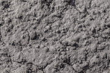 The surface of the black fertile land after snow melts.