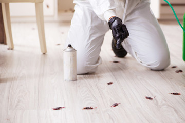 Young male contractor doing pest control at home