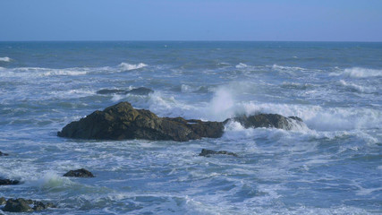 The wild and rocky coast of Shelter Cove