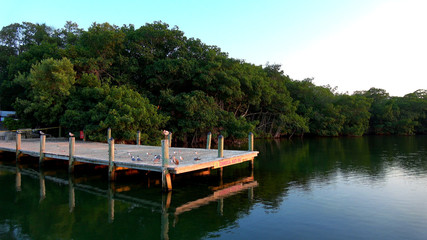 Beautiful little bay in the Florida Keys