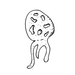 vector isolated element, black and white bacterium without background in doodle style
