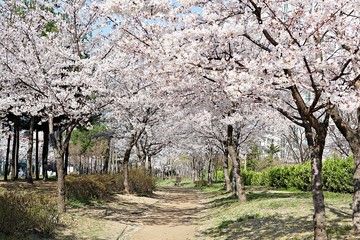 한국 인천시 남동구 인천대공원 입니다