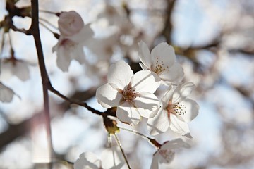한국 인천시 남동구 인천대공원 입니다