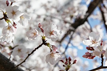 한국 인천시 남동구 인천대공원 입니다