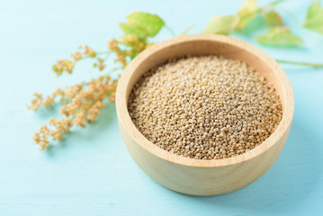 Organic brown quinoa seed in a wooden bowl and quinoa plant on pastel color background, healthy food