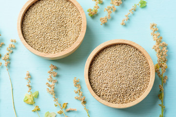Organic brown quinoa seed in a wooden bowl and quinoa plant on pastel color background, healthy...