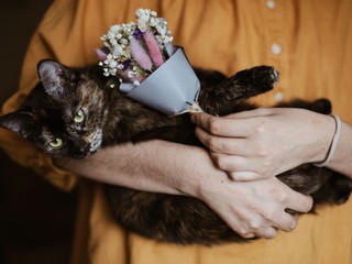 black cat with green eyes and with bunch of dried flowers in the hands and yellow shirt back round