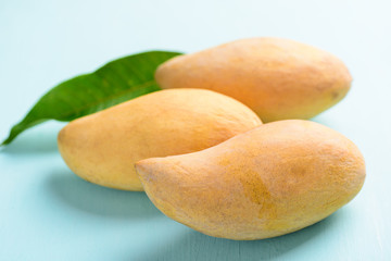 Ripe mango fruit with leaf on pastel color background, tropical fruit