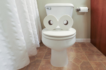 Toilet paper face formed with two toilet paper rolls on a toilet lid mouth