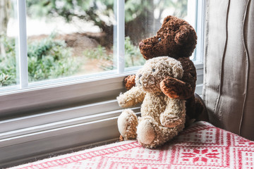 Two teddy bears sitting looking out the window together