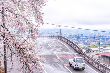 山梨県 勝沼ぶどう郷の甚六桜